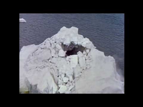 Godzilla First Roar (1962)