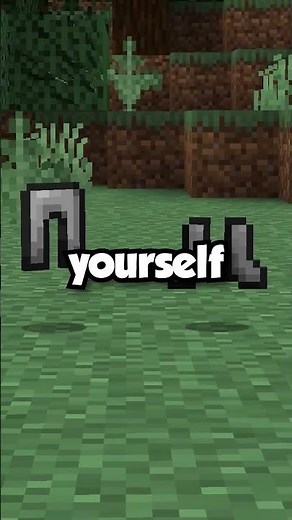 How To Get Started on the Hardcore Server DonutSMP