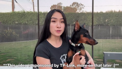 How to Seriously Train a Doberman Puppy