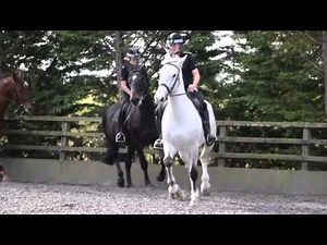 Mounted Unit training day