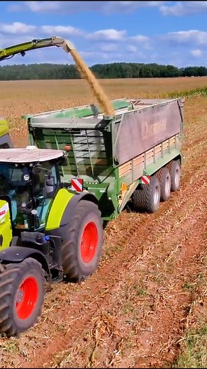 Krone bigx forage harvester at corn field for silage🔥🌾✅ | Big Machines