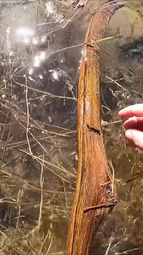 Fishing Secrets NW on TikTok