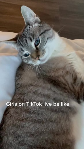 #fyp #accountant #foryou