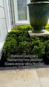 INSTANT HEDGES - yesterday we replanted an area of gardens featuring matching green glazed pots and thick & chunky hedges of box ….. I found the perfect plants to replant the area and we got to work. After planting I cut the plants down to size, taking off about 200mm in height, to give the plants flat top giving the illusion they’ve been established in the gardens for years. #andrewstark #andrewstarkgardens #andrewstarkgardendesign #gardendesign #gardendesignmelbourne #hedges #topiary #pruning 
