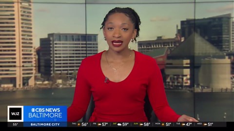 Scientists learn bees can process time, a first in insects