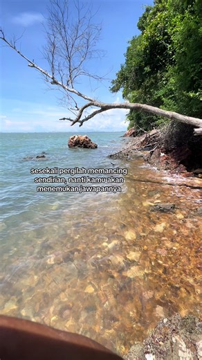 Discover the Joy of Solo Fishing Adventures