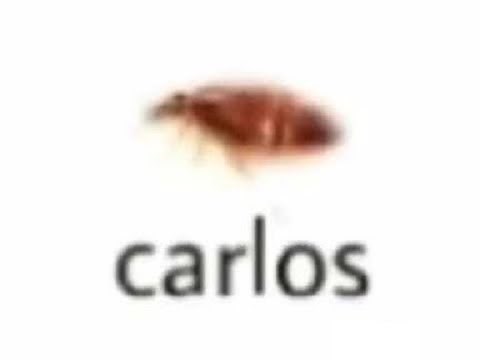 Send me on my way Low quality