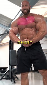172K views · 347 reactions | Pec deck machine - tips for upper chest ✍️ —————————————————————- Save video and give it a try!  —————————————————————- If you need help with training and nutrition plan contact me on @nextgeneration_coaching 邏 | Petar Klančir IFBB Pro | Facebook