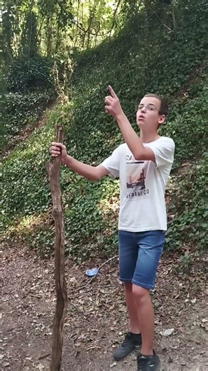Saison 1:Épisode 1:La dimension forêt : Partie 1 Abonné toi ❤️‍🔥