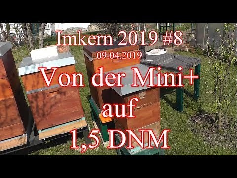 #Imkern 2019 #8 von der #Mini+ auf 1,5 #Deutsch #Normalmaß