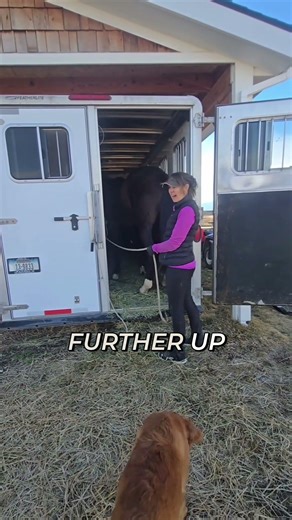Horse Trailer Loading: Backing Off or Turning Around #shorts