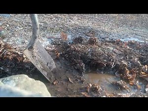 Building a Spring Fed Pond!?