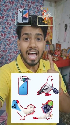 Iphone Vs Murga Stop Challenge video 📱🐓 #iphone #murga #stopchallenge