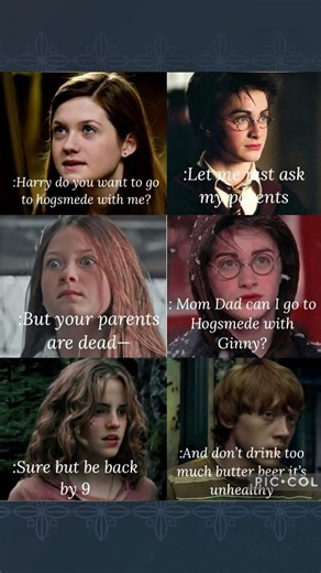 A MEME FOR EVERY MONTH ❤️,Harry Potter meme#shorts #funny #memes #harrypotter