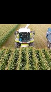 30K views · 302 reactions | CLAAS Jaguar forager doing its thing #claasjaguar #silage | Pro Horizon Farming Content | Facebook