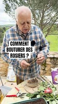 Comment bouturer des rosiers ? #jardin #jardinage #ROSIER #rose #bouture #bouturage #plante #nature