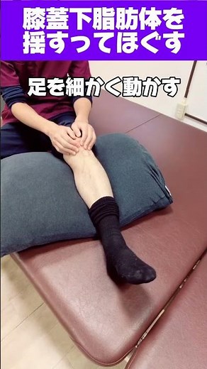【膝前面痛】お皿の下が痛い原因は動きの硬さ？膝蓋骨をやさしく引き上げて細かく揺すり、膝の痛みと引っかかり感を和らげるリハビリ #理学療法士が解説 #膝
