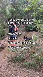 27K views · 457 reactions | Day 12 of 12 days of survival tips. The international distress signal is basically 3 of any signal (ex: 3 blasts on a whistle). . . . #survival #survivalskills #outdoors #outdoorsman #hiking | Tactical Belle | Facebook