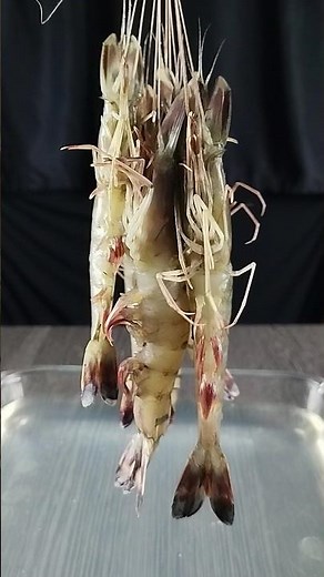 Shrimp & Fish Garland Recipe | Crispy, Juicy & Flavorful Seafood Snack 🦐🐟✨