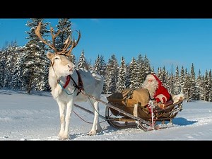 Christmas departure of Santa Claus🦌🎅 reindeer ride in Lapland Finland of Father Christmas