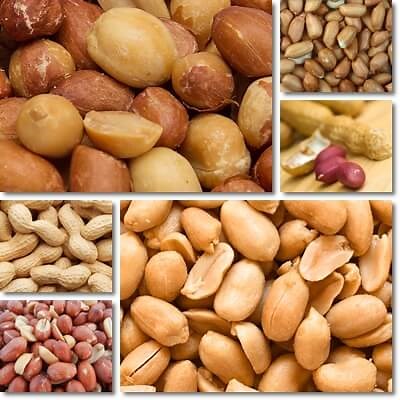 The Glycemic Index of Peanuts - NatureWord