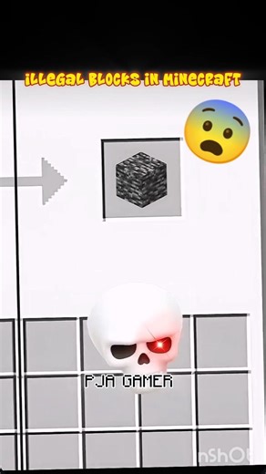 illegal blocks in minecraft 😨 #minecraft