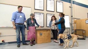 Service Dogs to Help Children: Level 2 | CBC Learning English