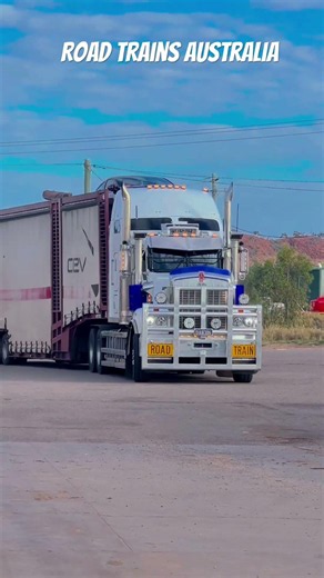 Kenworth C509 Car Carrier Road Train Slowly approaching #shortsfeed #automobile #kenworth #semi