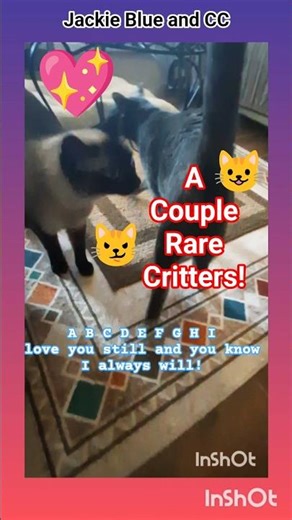 We Love Critters Forever! ☺️💖