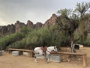 Sizzling Scottsdale: 5 things to see and do in Arizona town