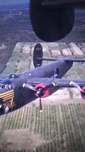 - Cant Wait For The 4th Again ! - anyone interested ! - Blake Palmer 🎉 | Blake Palmer