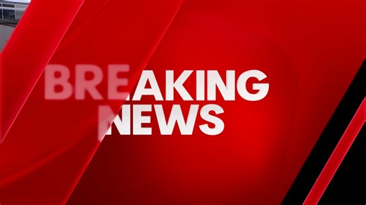 2.8K views · 27 reactions | BREAKING: There are long delays on the M4 Motorway at Wentworthville after a truck crash closed the motorway in both directions. 7NEWS at 6pm. #7NEWS | 7NEWS Sydney | Facebook