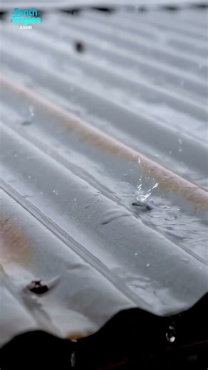 Rain Falling on Shed Roof | Relaxing Rain Sounds for Sleep & Calm