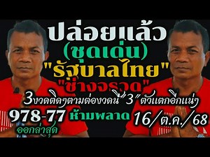Urgent!! 978 rocket technicians have released (Thai government) #Outstanding set "16/Oct./68#Luck...