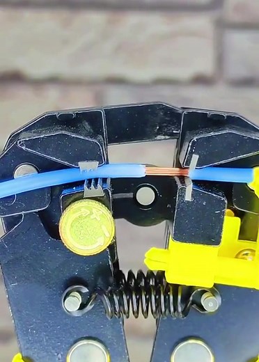 Exploring the Inner Mechanics of a Stapler