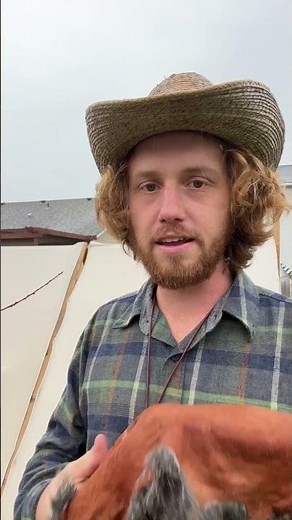 How to tan rabbit hides using tree bark, part 6