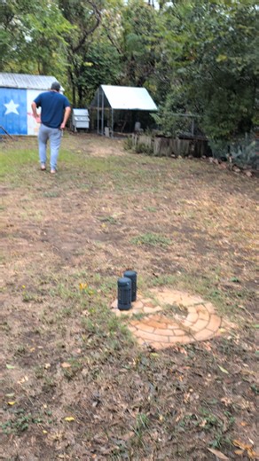 Chicken Roar #backyardchickens #chickenjourney | That's All Yolks TX