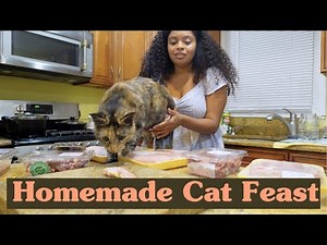 How to Make Healthy Homemade Cat Food | Step-by-Step Guide for a Happy, Balanced Feline Diet