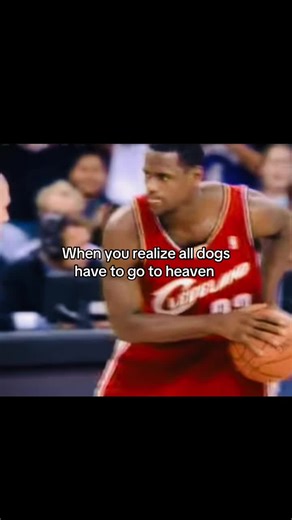 Understanding the Belief That All Dogs Go to Heaven