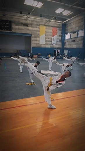 taekwondo training #taekwondo #kick #sports