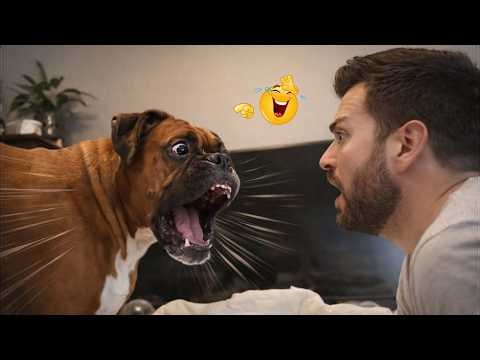 You Can’t Stop Laughing At These Dogs 🤣 FUNNIEST DOGS Video 2026