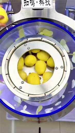 Automated Potato Slicing Machine For Fast And Uniform Vegetable Preparation In Food Processing