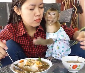 1.9M views · 8.9K reactions | Dodo Cry Angry Don't Want Mom Prepare His Clothes While Eating | TV Monkey | Facebook