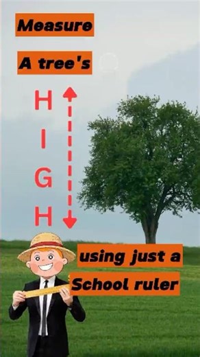 Soo.. how to measure tree using just a school ruler?