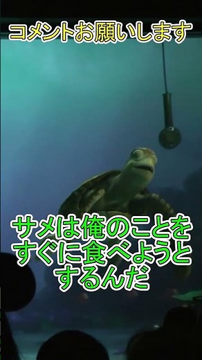 How big can sharks get? [Turtle Talk] Tokyo DisneySea