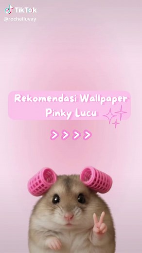 Rekomendasi Wallpaper Pinky Lucu untuk HP