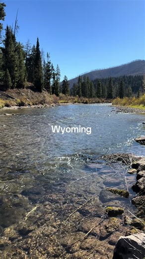 Exploring Wyoming's Grand Teton and Yellowstone Parks