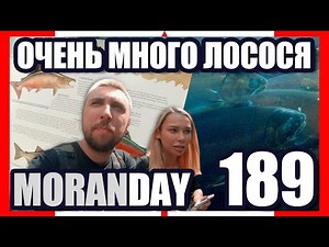🇨🇦 Moran Day 189 - Очень Много Лосося