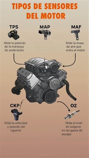 55K views · 49K reactions |  ¿Dónde SE ENCUENTRAN los SENSORES más...