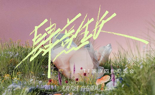 【TF家族⁴】四代《肆意生长》见面会（合集）